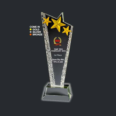 ICA 337 - 3D Emboss Star Crystal Trophy