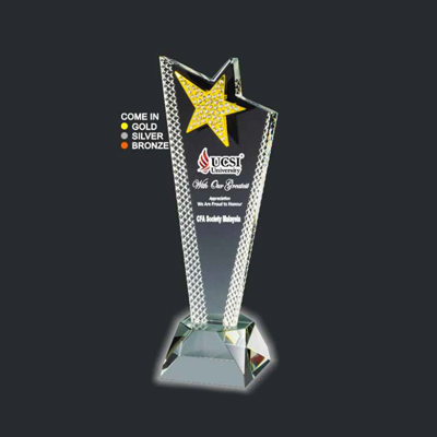 ICA 339 - 3D Emboss Star Crystal Trophy