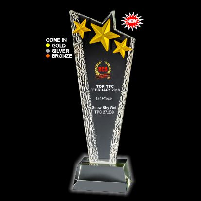 ICA 357 - 3D Emboss Star Crystal Trophy