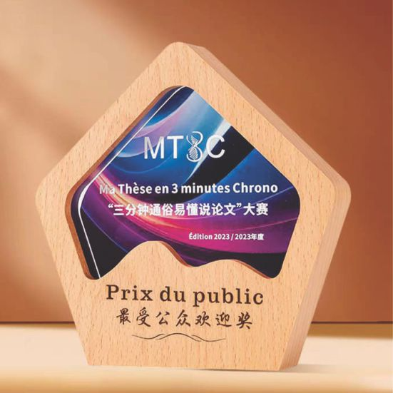 IWT 091 - Exclusive Crystal Wooden Award