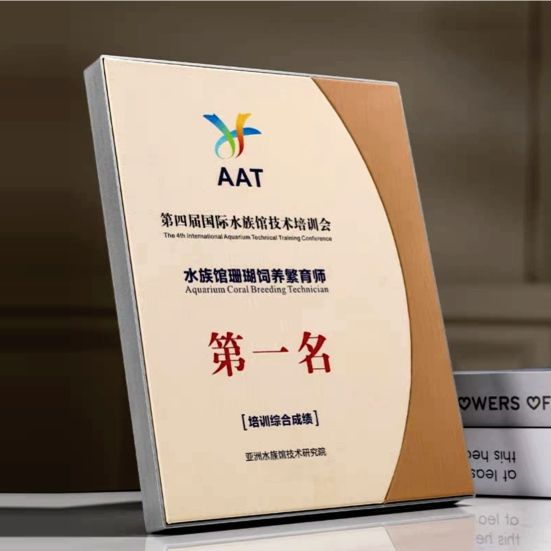 IWT 135 - Exclusive Wooden Award